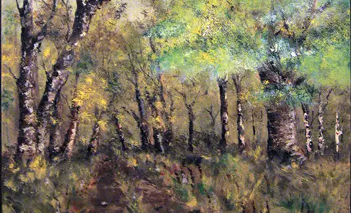 Cartes postales Animaux - Série 1