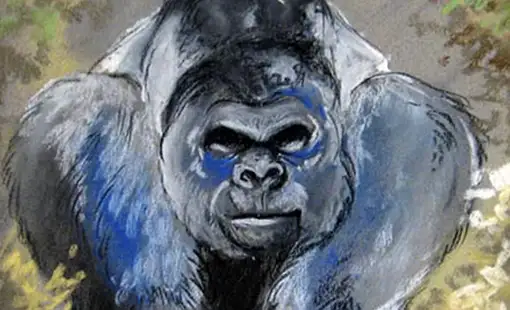 Gorille